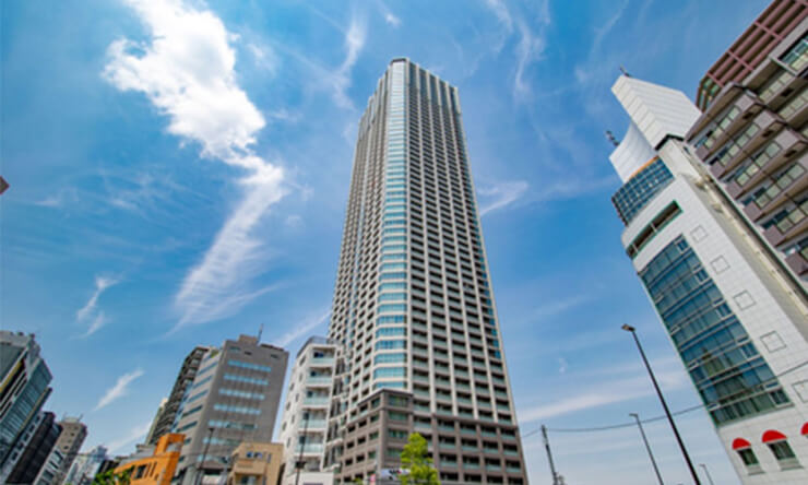 トミヒサクロス　画像